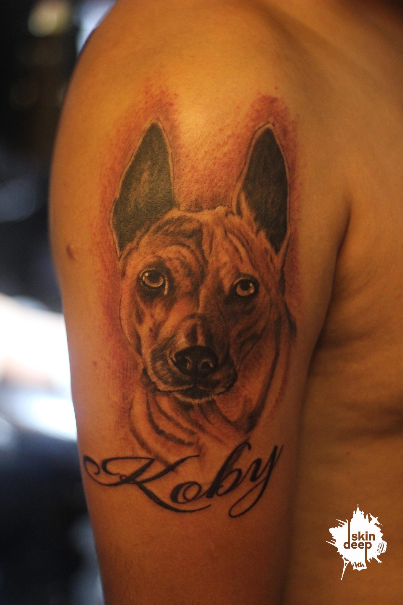 Grey Scale – Dog (Koby) Tattoo